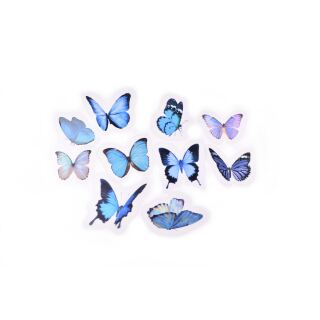 Sticker Blaue fliegende Schmetterlinge nach Maß 